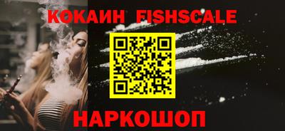 a pvp Камышлов
