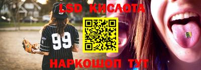 a pvp Камышлов
