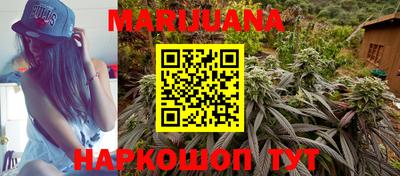 a pvp Камышлов
