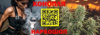 a pvp Камышлов