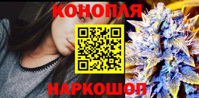 a pvp Камышлов