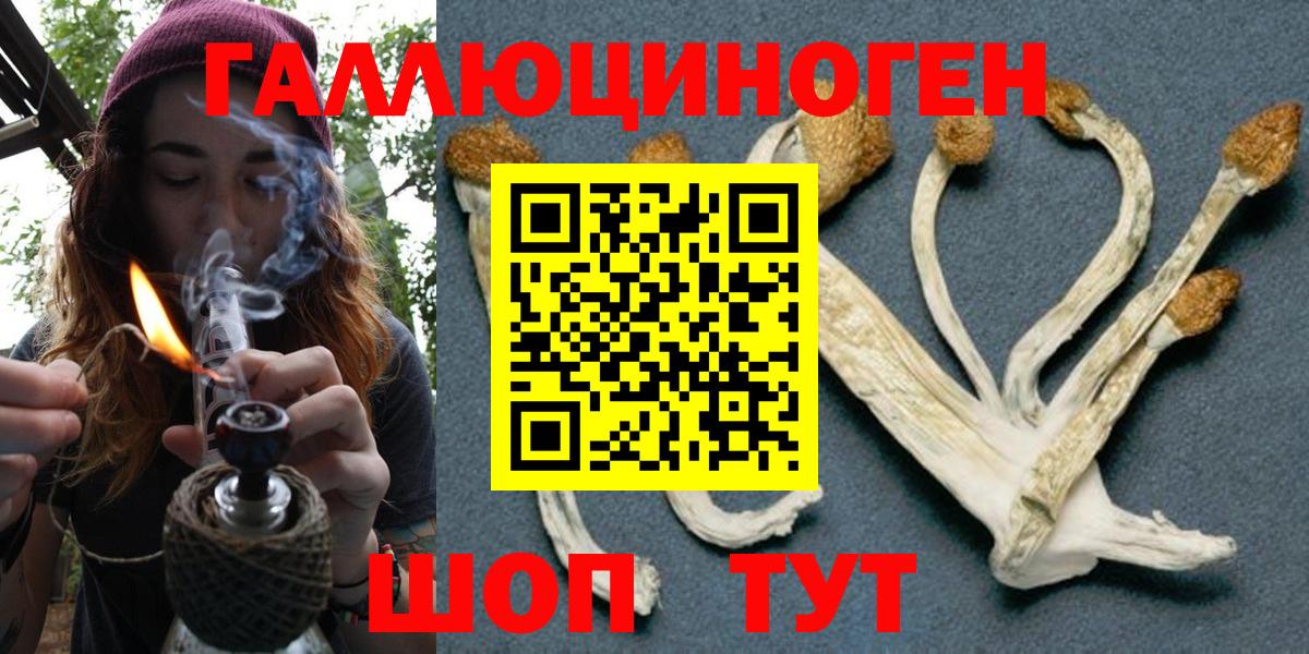 Галлюциногенные грибы Cubensis Кубинка