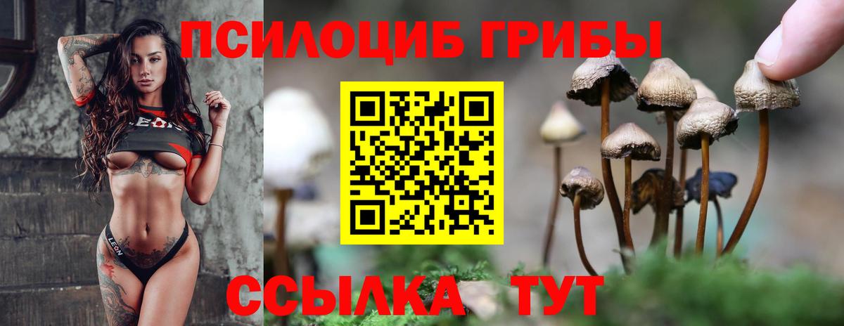 Кубинка  Галлюциногенные грибы мухоморы  где найти   Вход с VPN 